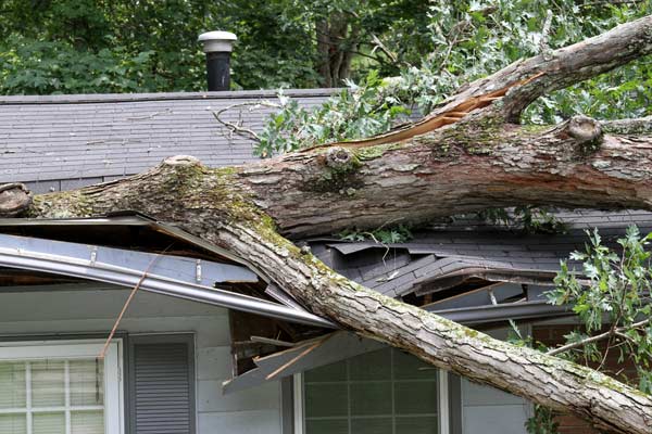 Residential & Commercial Storm Damage Restoration and Repair Company in Atlanta